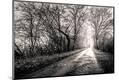 Photographic Print