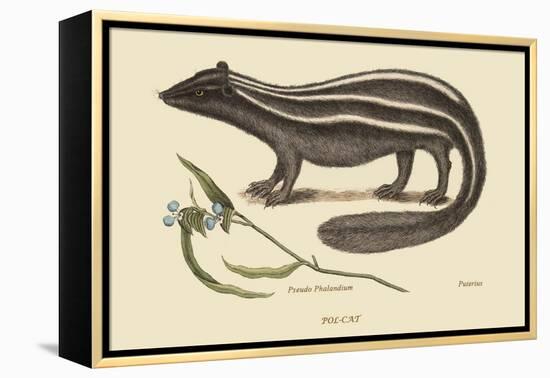 Polcat-Mark Catesby-Framed Stretched Canvas