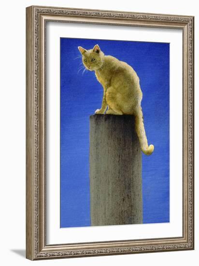 Pole Cat-Will Bullas-Framed Giclee Print