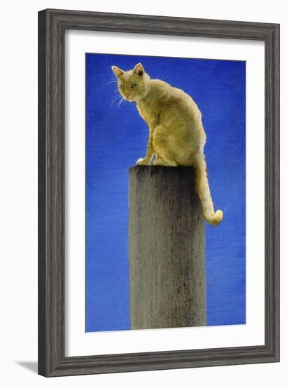 Pole Cat-Will Bullas-Framed Giclee Print