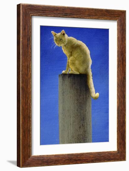 Pole Cat-Will Bullas-Framed Giclee Print