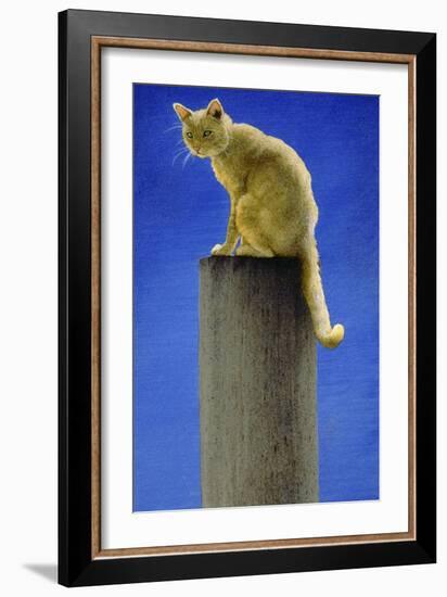 Pole Cat-Will Bullas-Framed Giclee Print