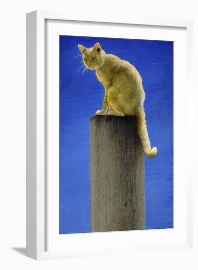 Pole Cat-Will Bullas-Framed Giclee Print