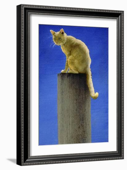 Pole Cat-Will Bullas-Framed Giclee Print