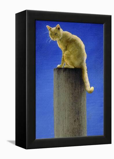 Pole Cat-Will Bullas-Framed Premier Image Canvas