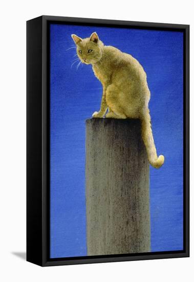 Pole Cat-Will Bullas-Framed Premier Image Canvas