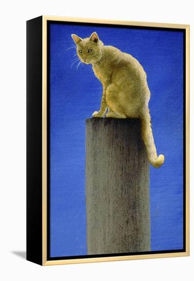 Pole Cat-Will Bullas-Framed Premier Image Canvas