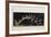 Pole Vaulter-Étienne Jules Marey-Framed Photographic Print