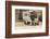 Police Ambulance - London-null-Framed Photographic Print