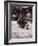 Police Officer on Motorcycle-Philip Gendreau-Framed Photographic Print