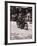 Police Officer on Motorcycle-Philip Gendreau-Framed Photographic Print