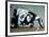 Policeman-Banksy-Framed Giclee Print