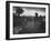 Poling the Marsh Hay, 1886 platinum print from glass negative-Peter Henry Emerson-Framed Giclee Print