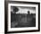 Poling the Marsh Hay, 1886 platinum print from glass negative-Peter Henry Emerson-Framed Giclee Print