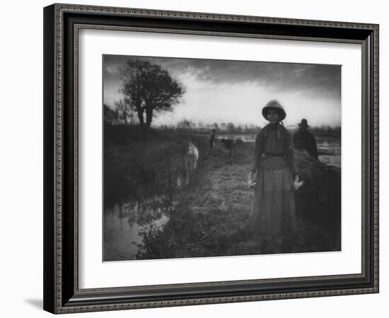 Poling the Marsh Hay, 1886 platinum print from glass negative-Peter Henry Emerson-Framed Giclee Print