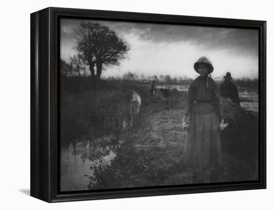 Poling the Marsh Hay, 1886 platinum print from glass negative-Peter Henry Emerson-Framed Premier Image Canvas