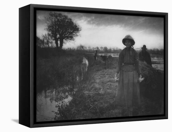 Poling the Marsh Hay, 1886 platinum print from glass negative-Peter Henry Emerson-Framed Premier Image Canvas