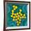 Polio Viruses, TEM-Dr. Linda Stannard-Framed Photographic Print