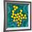 Polio Viruses, TEM-Dr. Linda Stannard-Framed Photographic Print