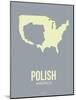 Polish America Poster 1-NaxArt-Mounted Art Print