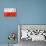 Polish Flag-daboost-Art Print displayed on a wall