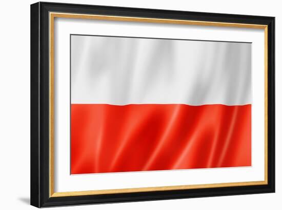 Polish Flag-daboost-Framed Art Print