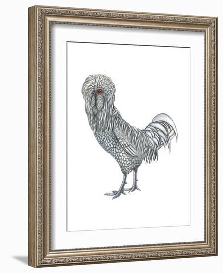 Polish (Gallus Gallus Domesticus), Rooster, Poultry, Birds-Encyclopaedia Britannica-Framed Art Print