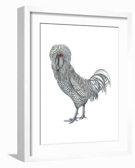 Polish (Gallus Gallus Domesticus), Rooster, Poultry, Birds-Encyclopaedia Britannica-Framed Art Print