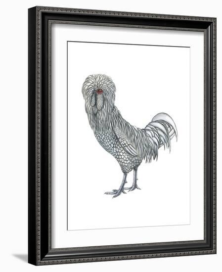 Polish (Gallus Gallus Domesticus), Rooster, Poultry, Birds-Encyclopaedia Britannica-Framed Art Print