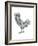 Polish (Gallus Gallus Domesticus), Rooster, Poultry, Birds-Encyclopaedia Britannica-Framed Art Print