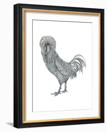 Polish (Gallus Gallus Domesticus), Rooster, Poultry, Birds-Encyclopaedia Britannica-Framed Art Print