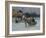 Polish Winter Landscape with Sleds-Alfred von Wierusz-Kowalski-Framed Giclee Print