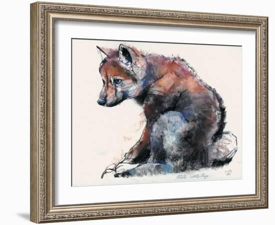 Polish Wolf Pup, 2001-Mark Adlington-Framed Giclee Print