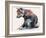 Polish Wolf Pup, 2001-Mark Adlington-Framed Giclee Print