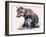 Polish Wolf Pup, 2001-Mark Adlington-Framed Giclee Print