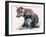 Polish Wolf Pup, 2001-Mark Adlington-Framed Giclee Print