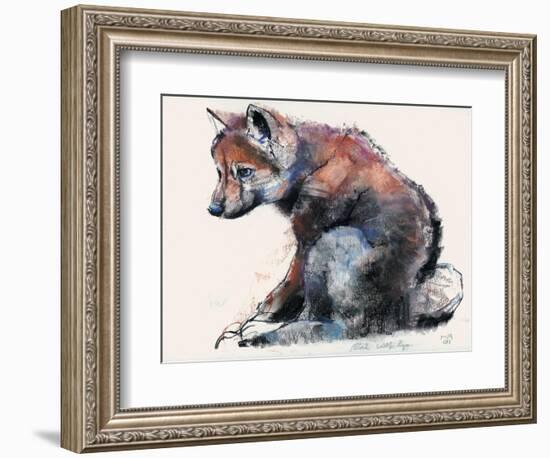 Polish Wolf Pup, 2001-Mark Adlington-Framed Giclee Print