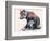 Polish Wolf Pup, 2001-Mark Adlington-Framed Giclee Print