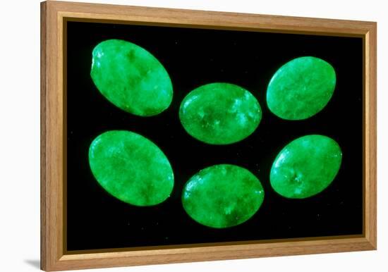 Polished Pieces of Green Jadeite-Vaughan Fleming-Framed Premier Image Canvas