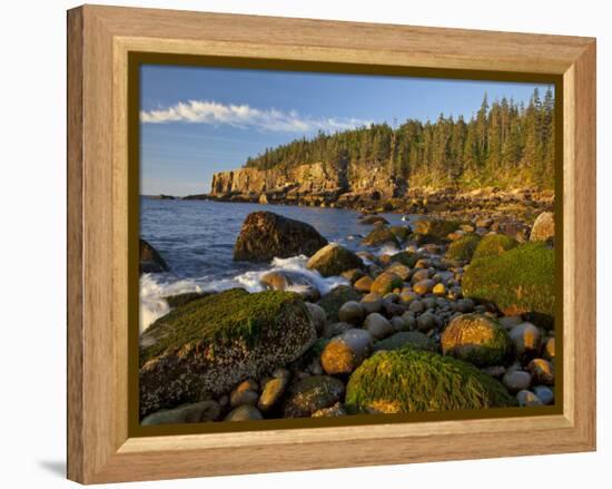 Polished Rocks at Otter Cliffs, Acadia National Park, Maine, USA-Chuck Haney-Framed Premier Image Canvas