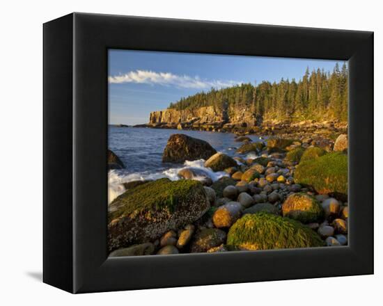 Polished Rocks at Otter Cliffs, Acadia National Park, Maine, USA-Chuck Haney-Framed Premier Image Canvas