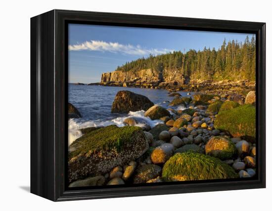 Polished Rocks at Otter Cliffs, Acadia National Park, Maine, USA-Chuck Haney-Framed Premier Image Canvas