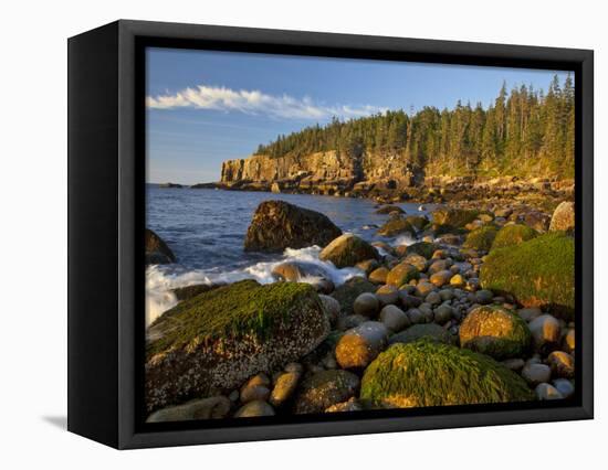 Polished Rocks at Otter Cliffs, Acadia National Park, Maine, USA-Chuck Haney-Framed Premier Image Canvas