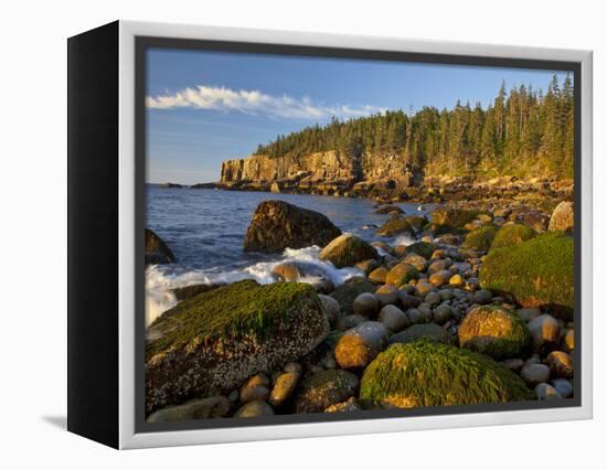 Polished Rocks at Otter Cliffs, Acadia National Park, Maine, USA-Chuck Haney-Framed Premier Image Canvas