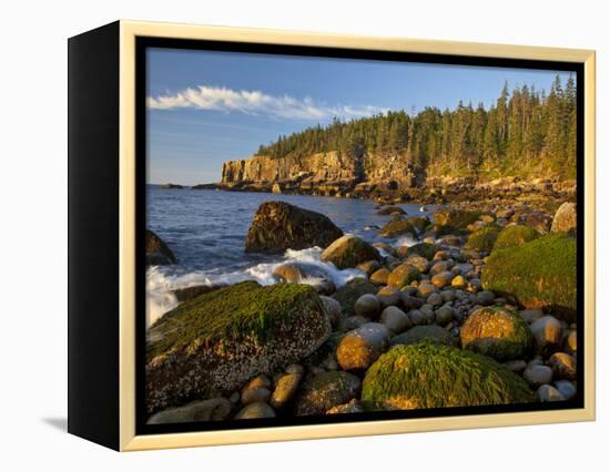 Polished Rocks at Otter Cliffs, Acadia National Park, Maine, USA-Chuck Haney-Framed Premier Image Canvas