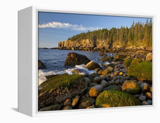 Polished Rocks at Otter Cliffs, Acadia National Park, Maine, USA-Chuck Haney-Framed Premier Image Canvas