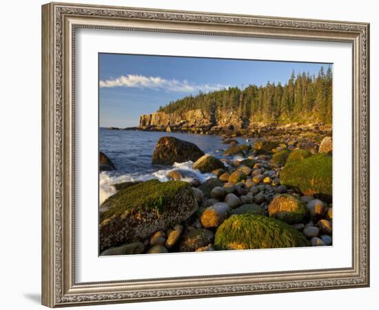 Polished Rocks at Otter Cliffs, Acadia National Park, Maine, USA-Chuck Haney-Framed Photographic Print