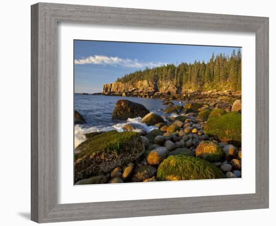 Polished Rocks at Otter Cliffs, Acadia National Park, Maine, USA-Chuck Haney-Framed Photographic Print