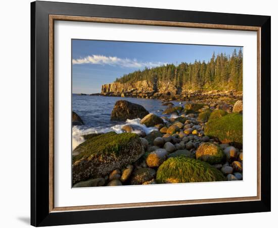 Polished Rocks at Otter Cliffs, Acadia National Park, Maine, USA-Chuck Haney-Framed Photographic Print