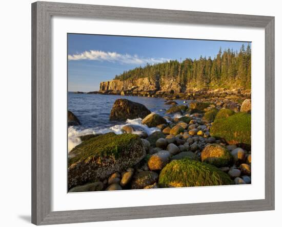 Polished Rocks at Otter Cliffs, Acadia National Park, Maine, USA-Chuck Haney-Framed Photographic Print